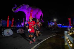 BIB: 
                            <button type="button" onclick="openModal(26551932)" class="btn btn-primary btn-sm float-right btn-popup" data-toggle="modal" data-target=".modal-high-quality">
                        <i class="fas fa-shopping-cart"></i> Add to Cart
                    </button>
                                            <button type="button" onclick="isThisMe(26551932, true)" class="btn btn-success btn-sm float-right btn-popup btn-isme hidden" data-toggle="tooltip" data-placement="bottom" title="นี่คือรูปของคุณใช่ไหม คลิกที่นี่เพื่อเอาเข้าอัลบั้ม">
                        <i class="fas fa-plus"></i> Add to album
                    </button>
                    <button type="button" onclick="isThisMe(26551932, false)" class="btn btn-warning btn-sm float-right btn-popup btn-isnotme hidden">
                        <i class="fas fa-ban"></i> Remove from album
                    </button>